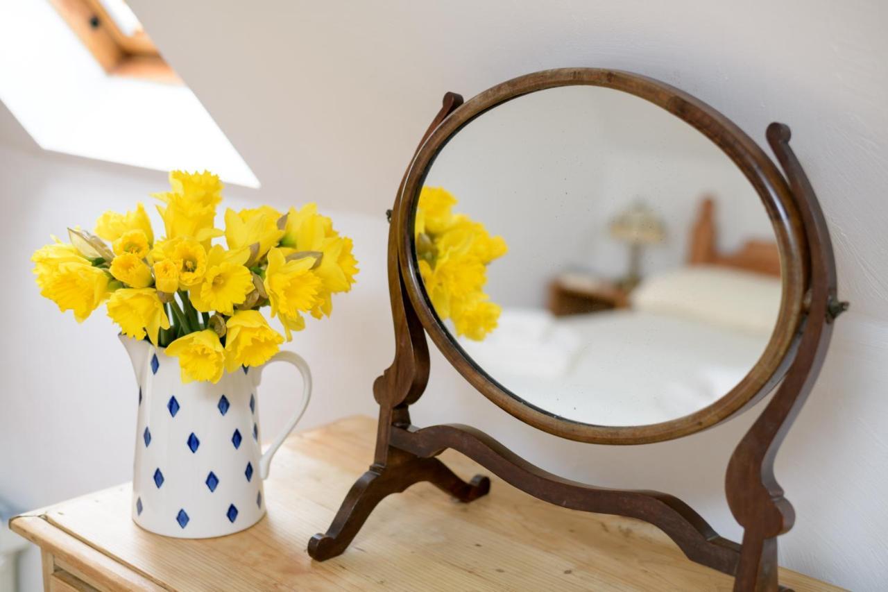 Luccombe Farm Holiday Cottages Milton Abbas Buitenkant foto