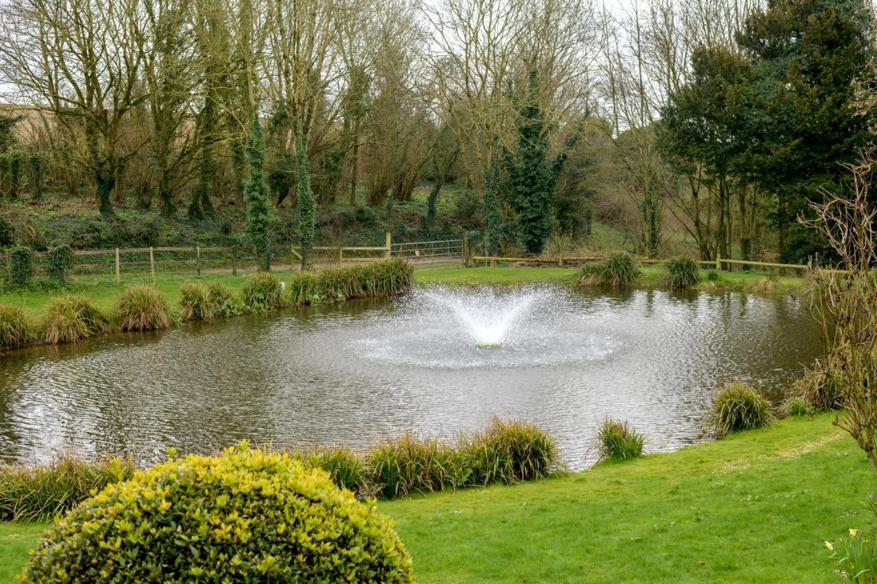 Luccombe Farm Holiday Cottages Milton Abbas Buitenkant foto