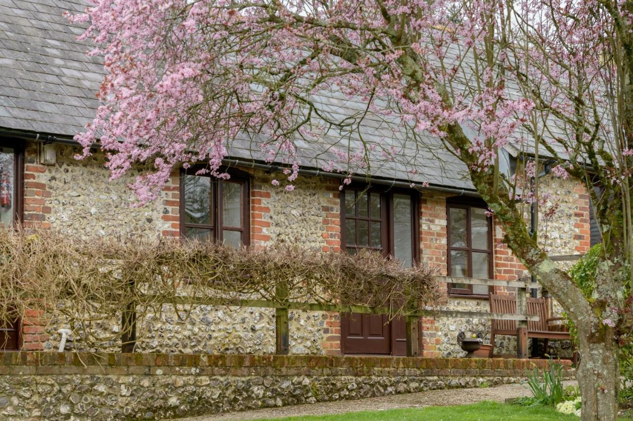 Luccombe Farm Holiday Cottages Milton Abbas Buitenkant foto