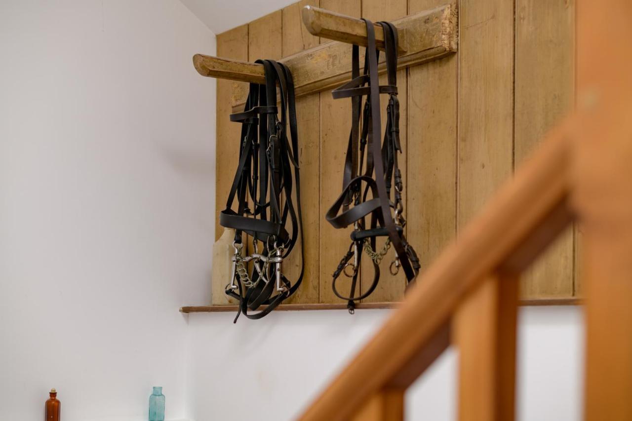 Luccombe Farm Holiday Cottages Milton Abbas Buitenkant foto
