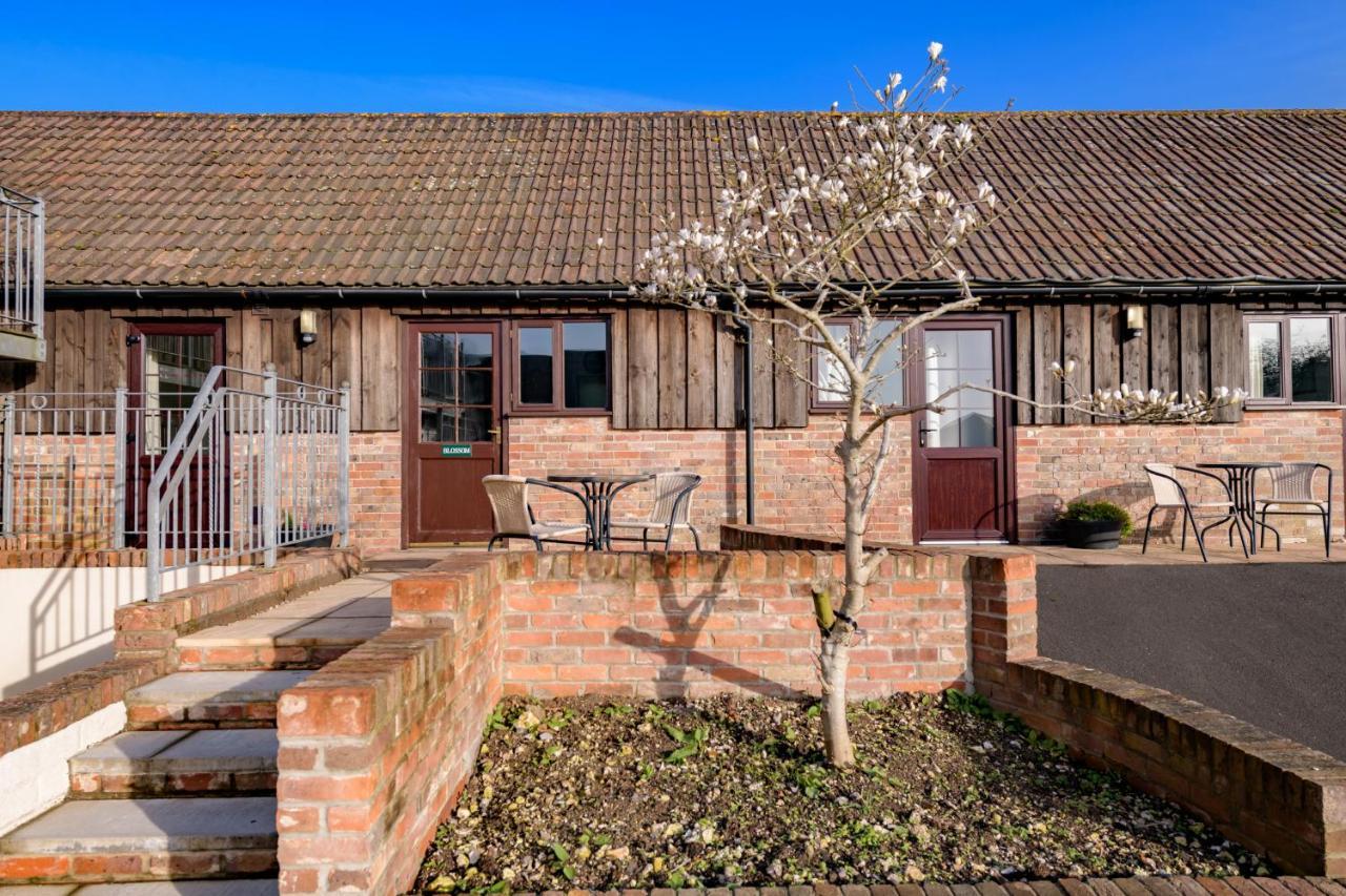 Luccombe Farm Holiday Cottages Milton Abbas Buitenkant foto