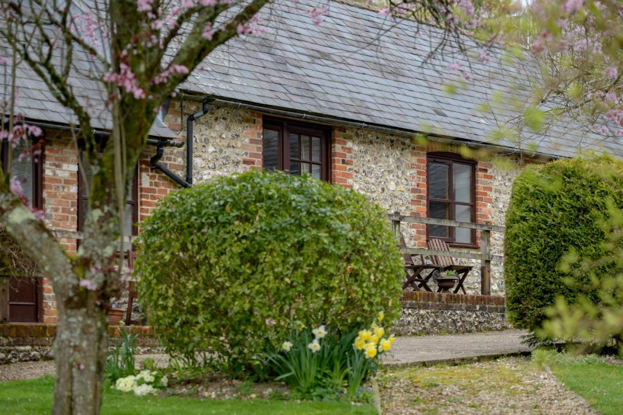 Luccombe Farm Holiday Cottages Milton Abbas Buitenkant foto