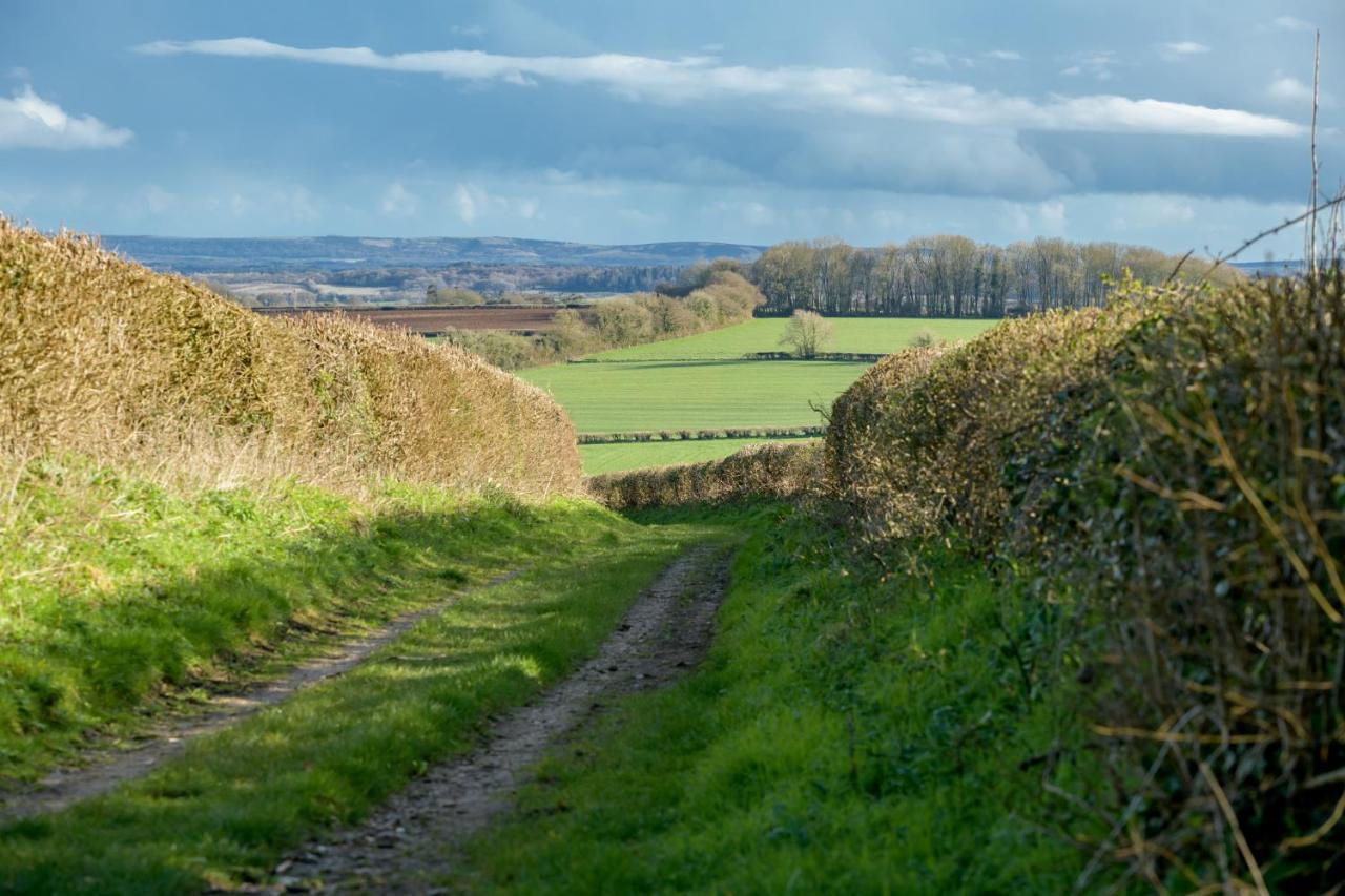Luccombe Farm Holiday Cottages Milton Abbas Buitenkant foto