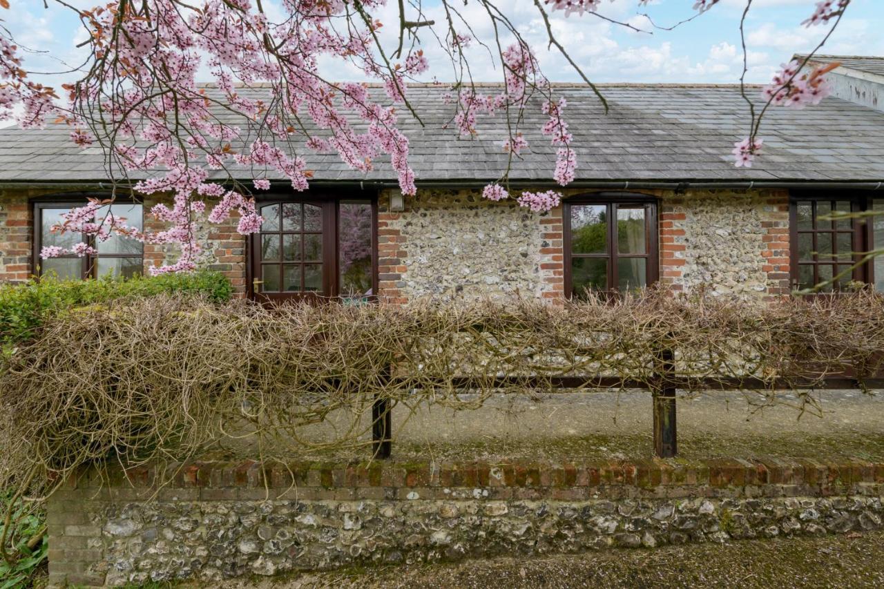 Luccombe Farm Holiday Cottages Milton Abbas Buitenkant foto
